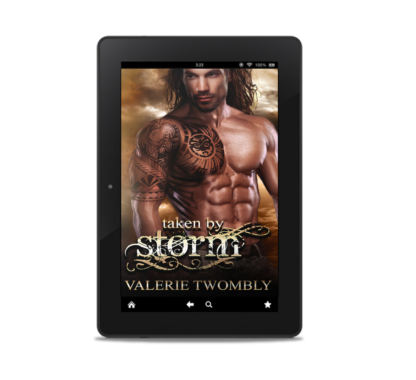 Taken By Storm (Book 2)